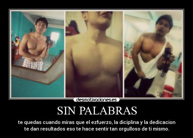 carteles gym desmotivaciones