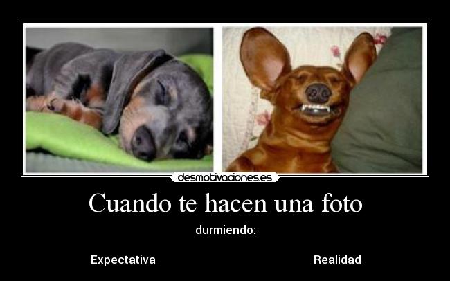 Cuando te hacen una foto - durmiendo:
  
Expectativa                                                         Realidad