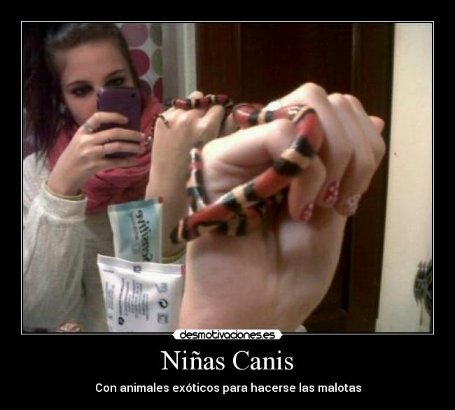 Niñas Canis - 