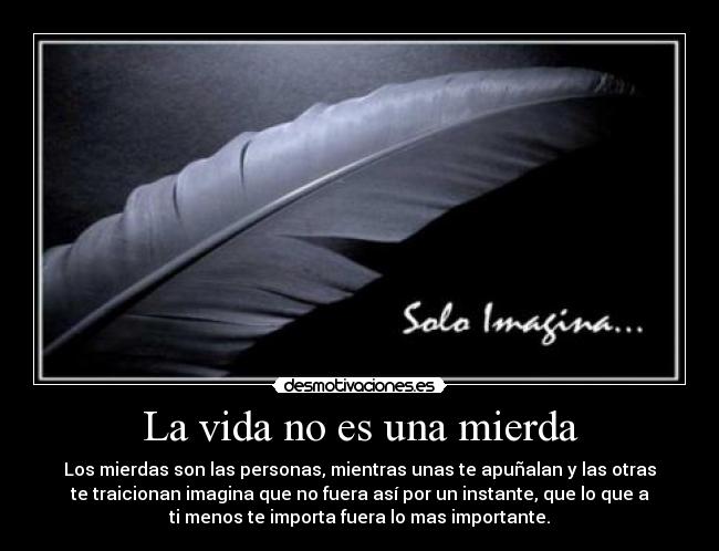 carteles vida porta imagina desmotivaciones