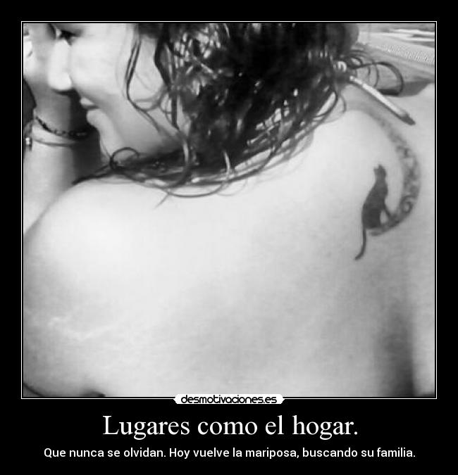 carteles denuevo hola bfly bohhemio yber desmotivaciones