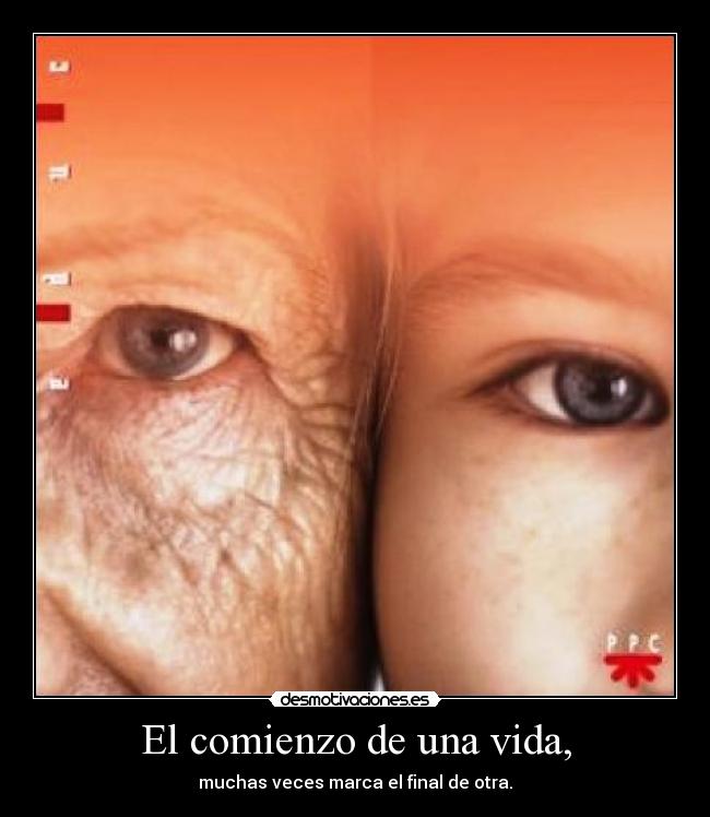 carteles vida jorgelol desmotivaciones