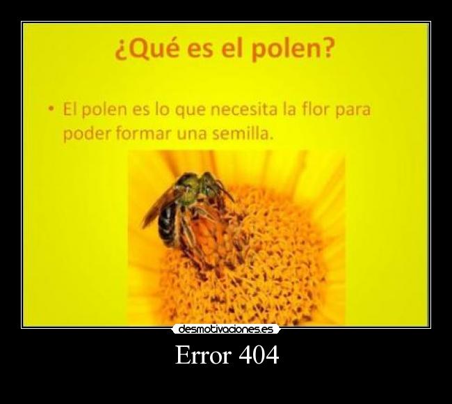 Error 404 -