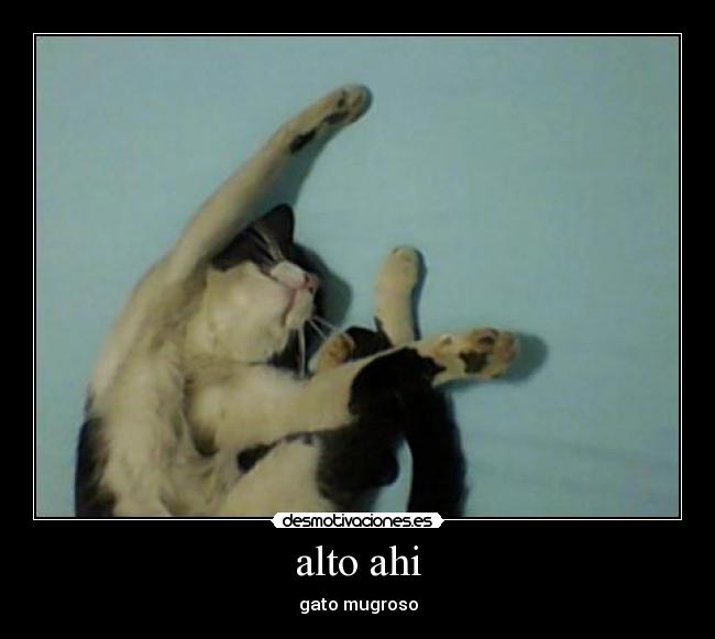 carteles desmotivaciones