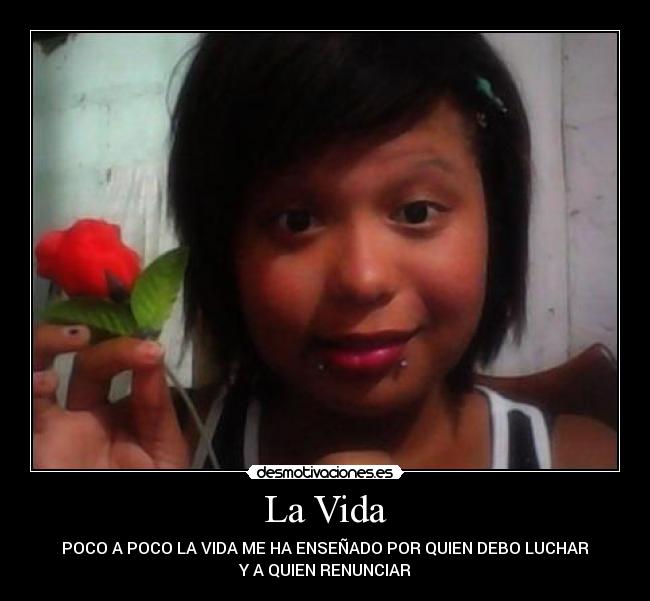 carteles vida vida desmotivaciones