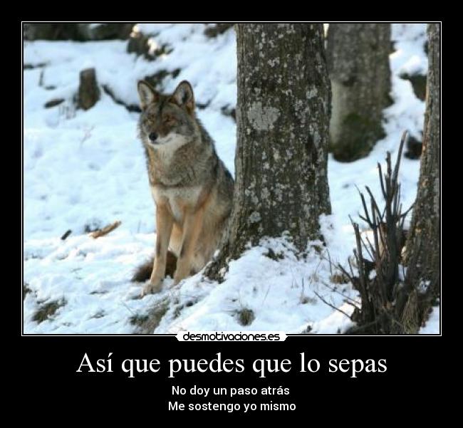 Así que puedes que lo sepas -