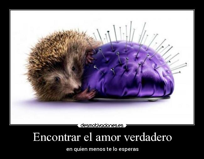 Encontrar el amor verdadero -
