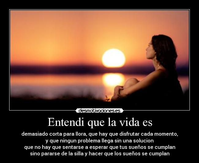 Entendi que la vida es - demasiado corta para llora, que hay que disfrutar cada momento,
y que ningun problema llega sin una solucion
que no hay que sentarse a esperar que tus sueños se cumplan
sino pararse de la silla y hacer que los sueños se cumplan