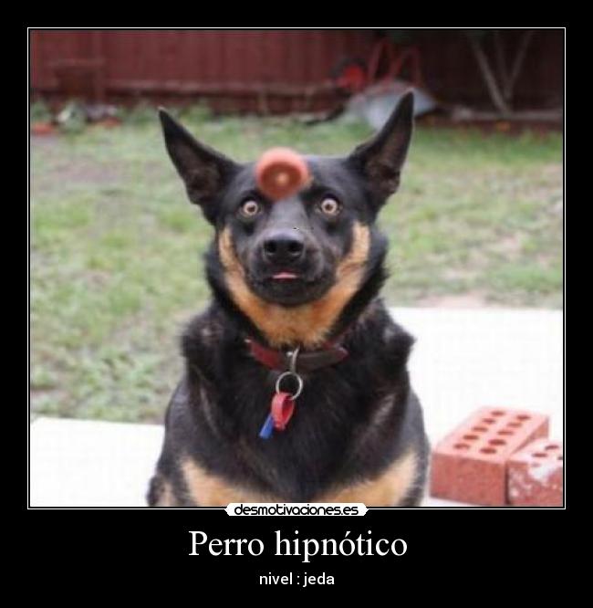 carteles sonrisaseverywhere desmotivaciones