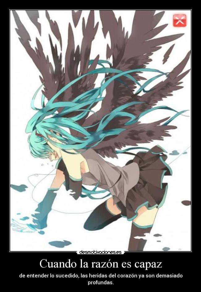 Cuando la razón es capaz - de entender lo sucedido, las heridas del corazón ya son demasiado profundas.