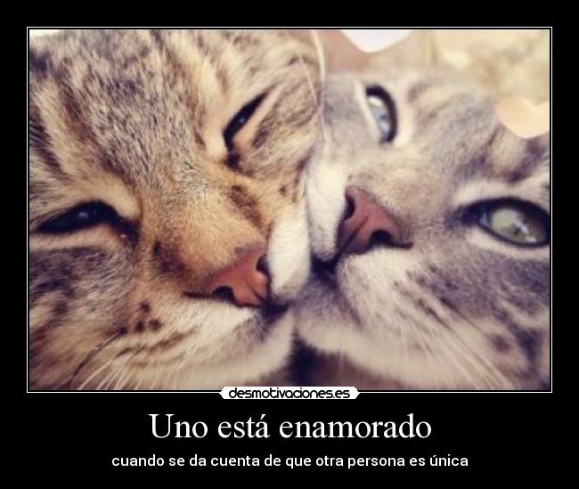 Uno está enamorado - 