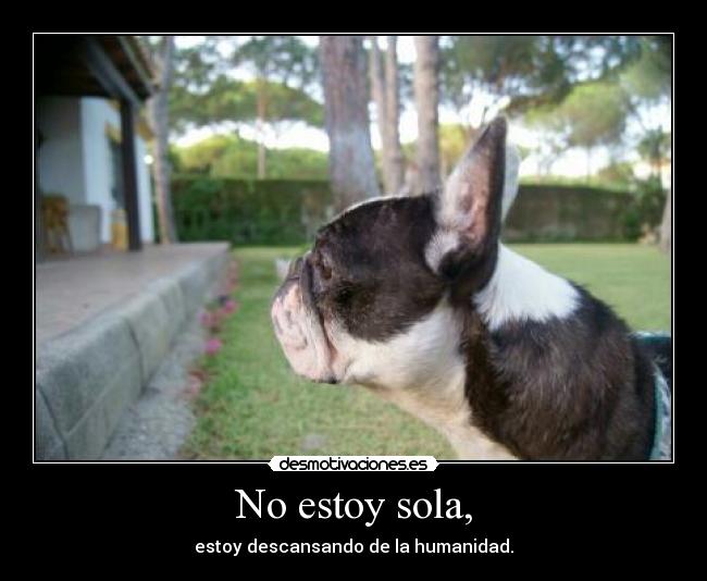 No estoy sola, - estoy descansando de la humanidad.