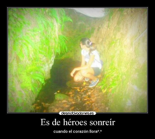 carteles alegria desmotivaciones