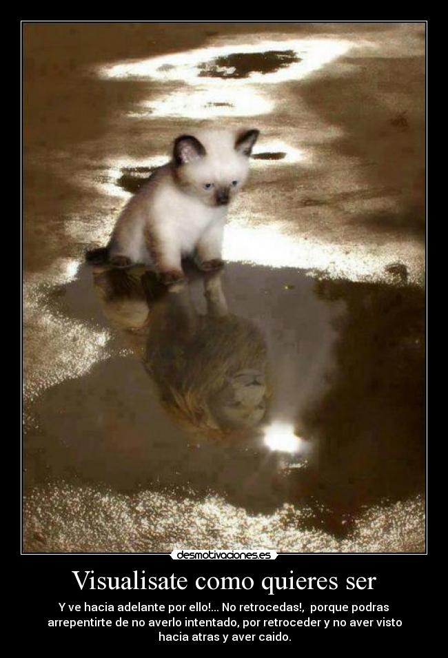 carteles motivacion desmotivaciones