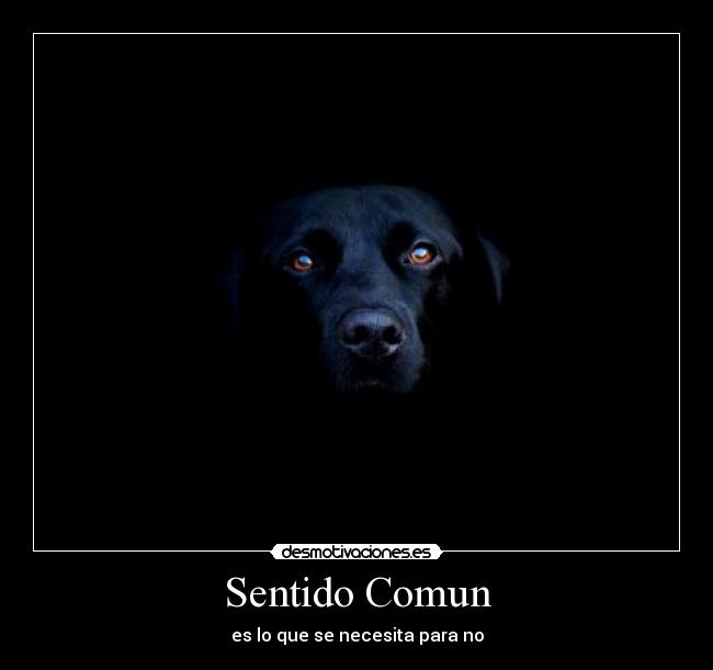 Sentido Comun - es lo que se necesita para no