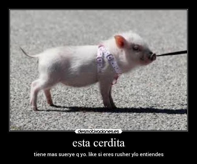 esta cerdita - tiene mas suerye q yo. like si eres rusher ylo entiendes