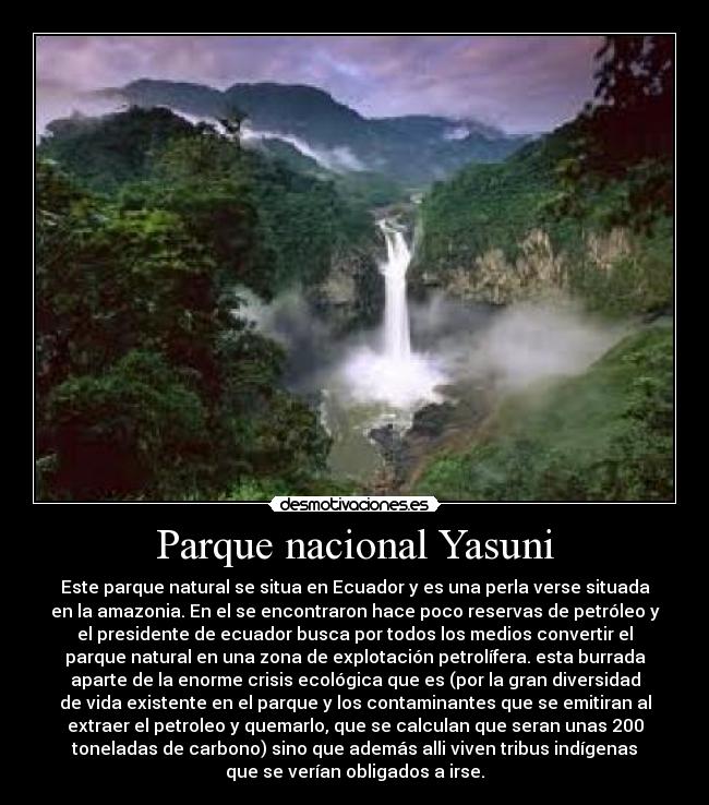 Parque nacional Yasuni - 