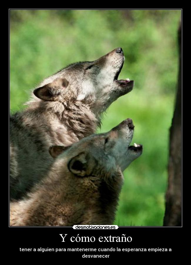 carteles malaquita desmotivaciones