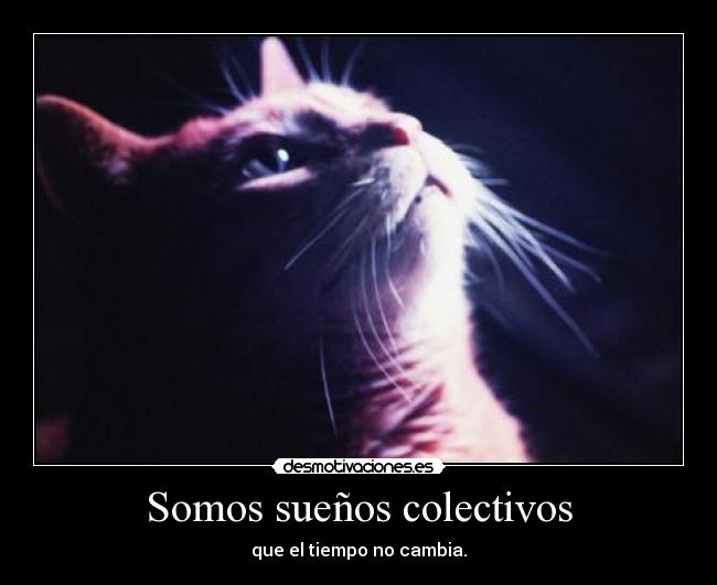 Somos sueños colectivos -