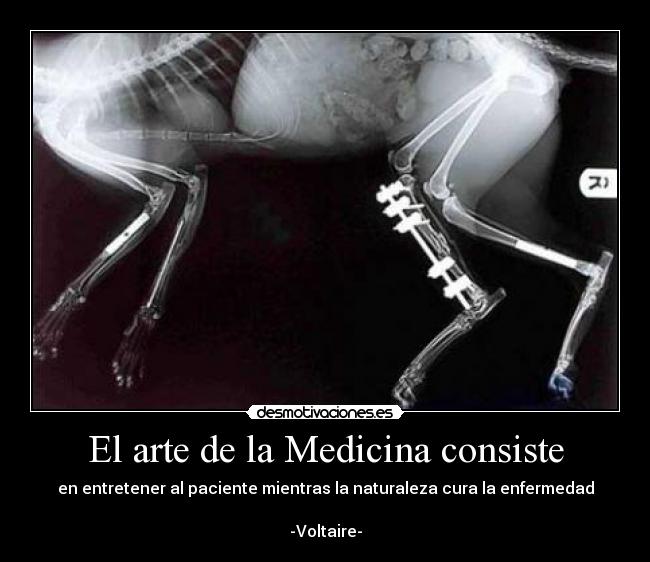 El arte de la Medicina consiste - en entretener al paciente mientras la naturaleza cura la enfermedad

-Voltaire-