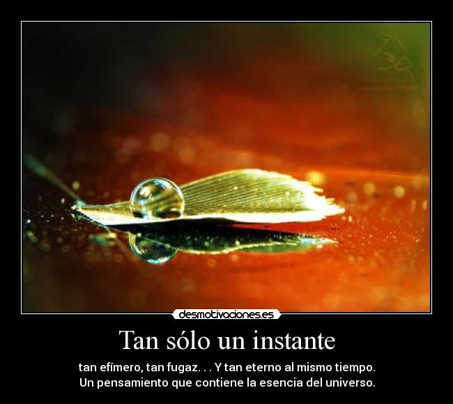 Tan sólo un instante - tan efímero, tan fugaz. . . Y tan eterno al mismo tiempo.
Un pensamiento que contiene la esencia del universo.