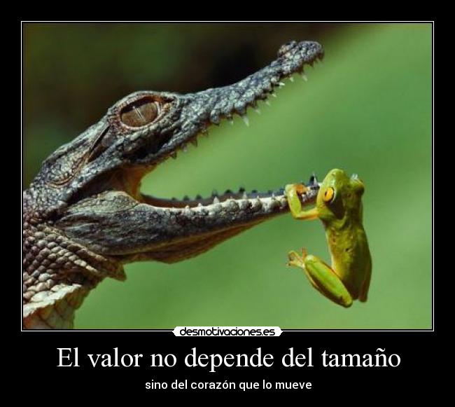El valor no depende del tamaño -