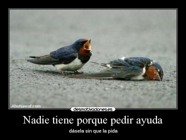 Nadie tiene porque pedir ayuda - 