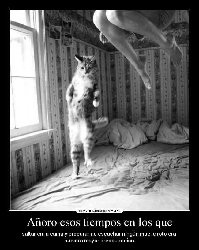 carteles rapyeah ese gatosse esta jugando desmotivaciones