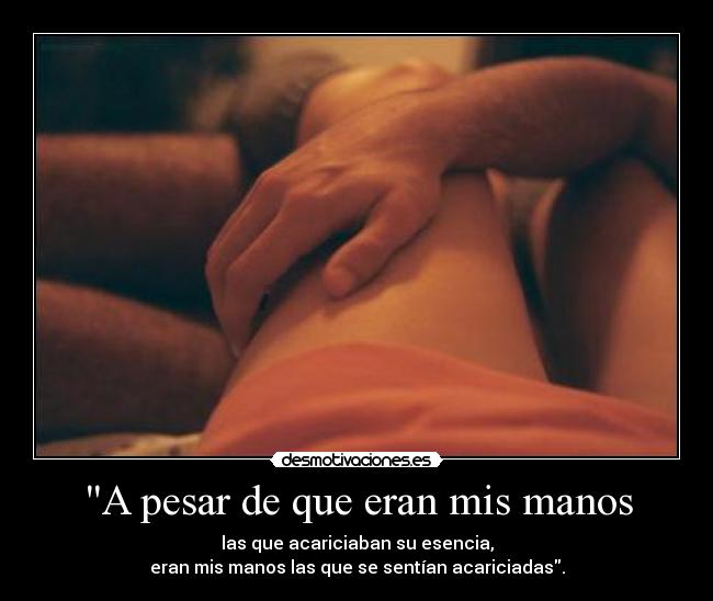 A pesar de que eran mis manos - las que acariciaban su esencia,
eran mis manos las que se sentían acariciadas.