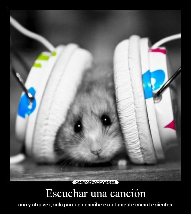 Escuchar una canción - una y otra vez, sólo porque describe exactamente cómo te sientes.