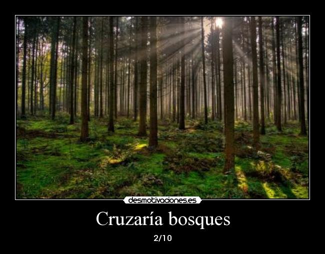 Cruzaría bosques - 