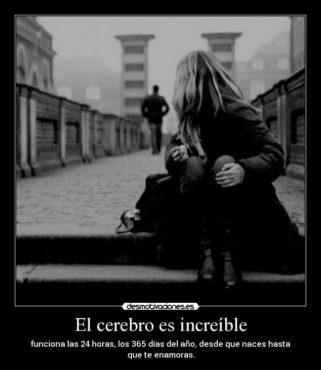 El cerebro es increíble - funciona las 24 horas, los 365 días del año, desde que naces hasta que te enamoras.