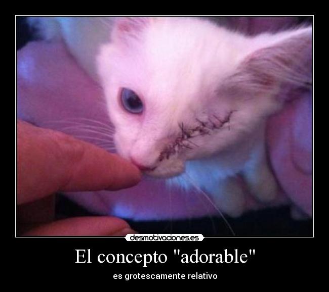 El concepto adorable - es grotescamente relativo