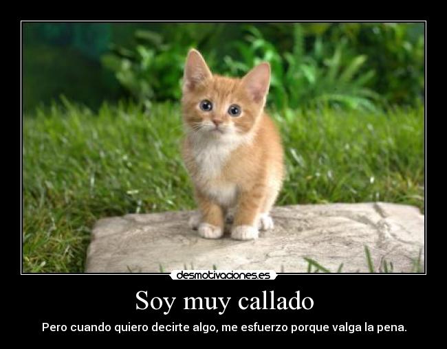 Soy muy callado - Pero cuando quiero decirte algo, me esfuerzo porque valga la pena.
