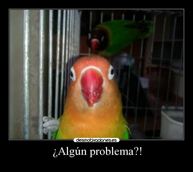 ¿Algún problema?! -