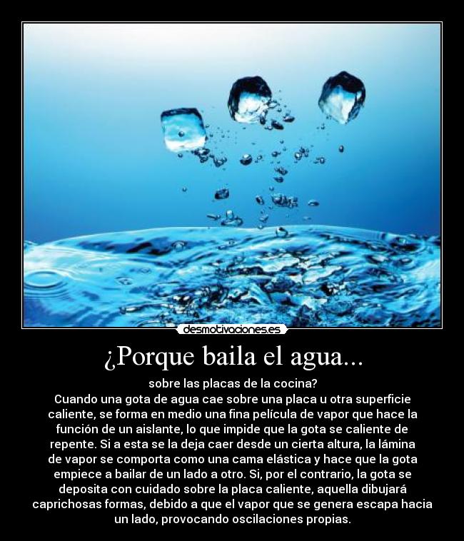 ¿Porque baila el agua... - sobre las placas de la cocina?
Cuando una gota de agua cae sobre una placa u otra superficie
caliente, se forma en medio una fina película de vapor que hace la
función de un aislante, lo que impide que la gota se caliente de
repente. Si a esta se la deja caer desde un cierta altura, la lámina
de vapor se comporta como una cama elástica y hace que la gota
empiece a bailar de un lado a otro. Si, por el contrario, la gota se
deposita con cuidado sobre la placa caliente, aquella dibujará
caprichosas formas, debido a que el vapor que se genera escapa hacia
un lado, provocando oscilaciones propias.
