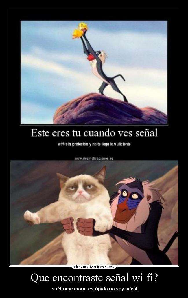 Que encontraste señal wi fi? - 