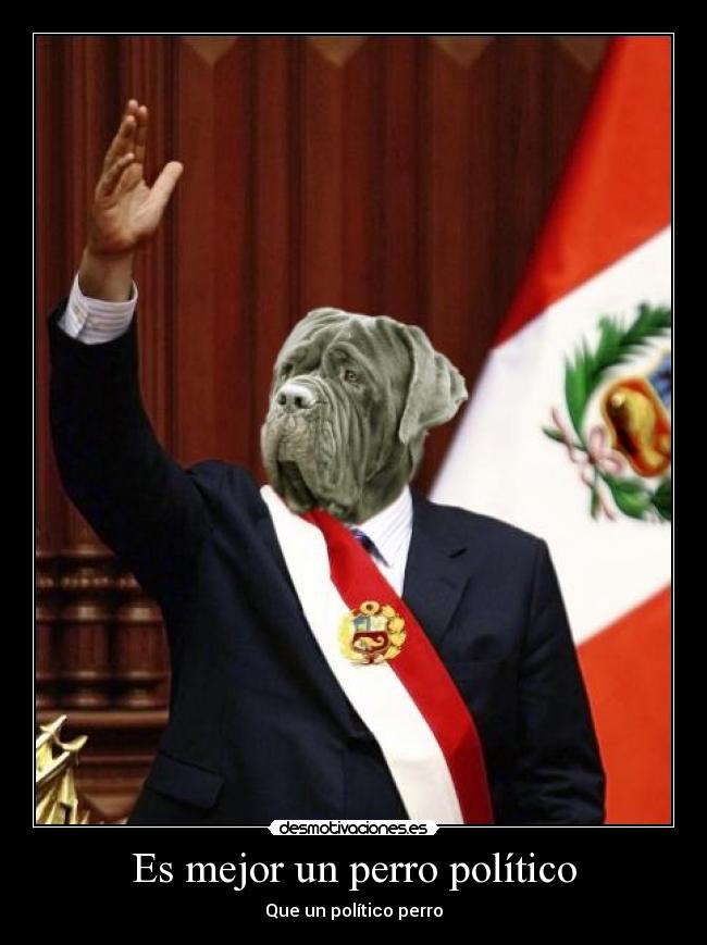 Es mejor un perro político -