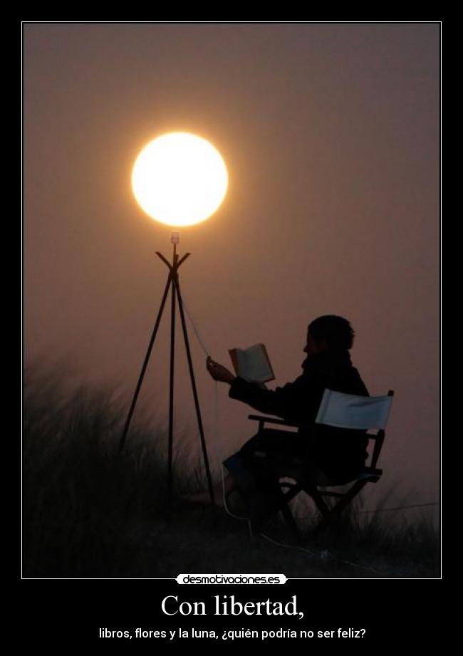 carteles libertad luna libros flores desmotivaciones