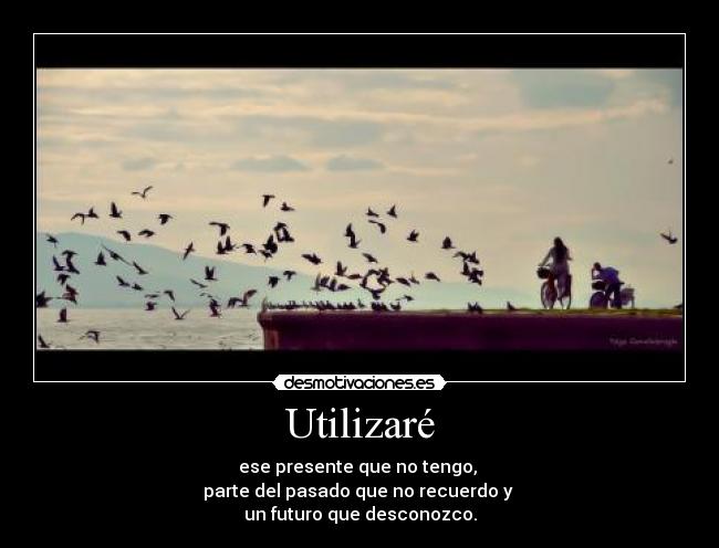 Utilizaré - 