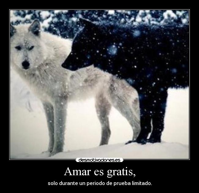 Amar es gratis, -