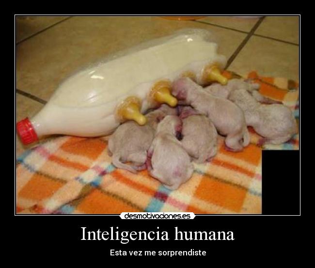 Inteligencia humana -