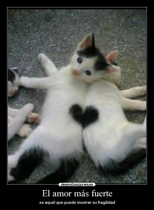El amor más fuerte - 