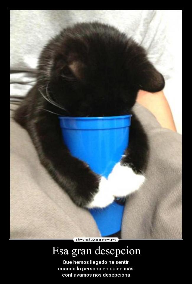 Esa gran desepcion -