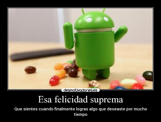 Esa felicidad suprema - Que sientes cuando finalmente logras algo que deseaste por mucho tiempo