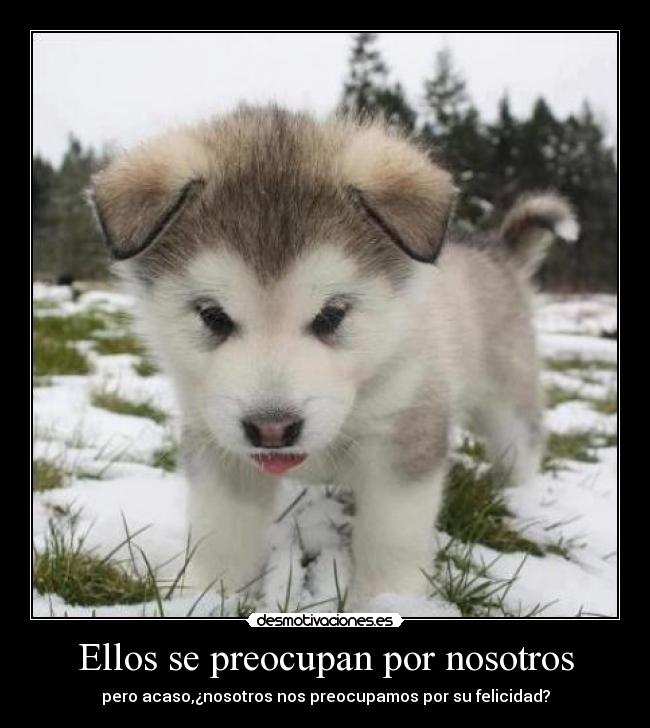 carteles dani884 estar con yuko mola perrooo desmotivaciones