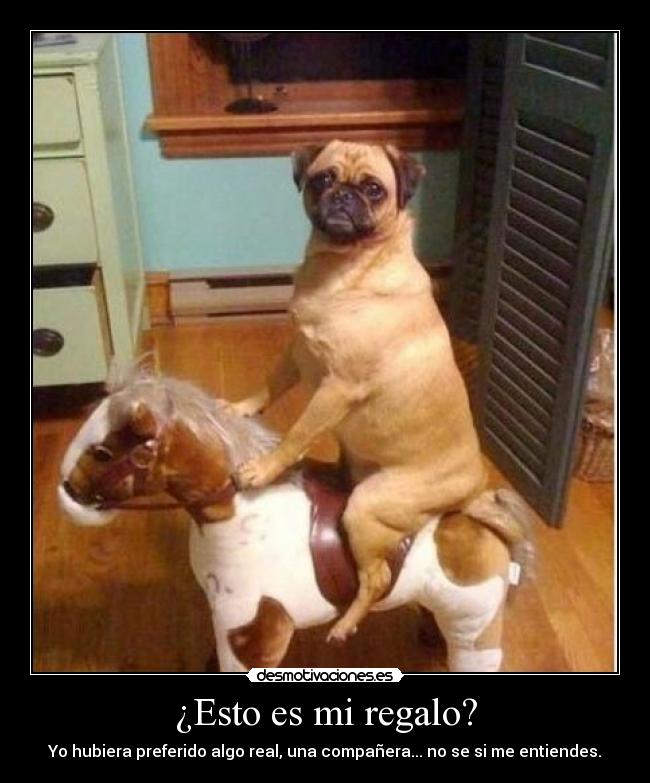 carteles cartel una chorrada pero bueno jajaja desmotivaciones