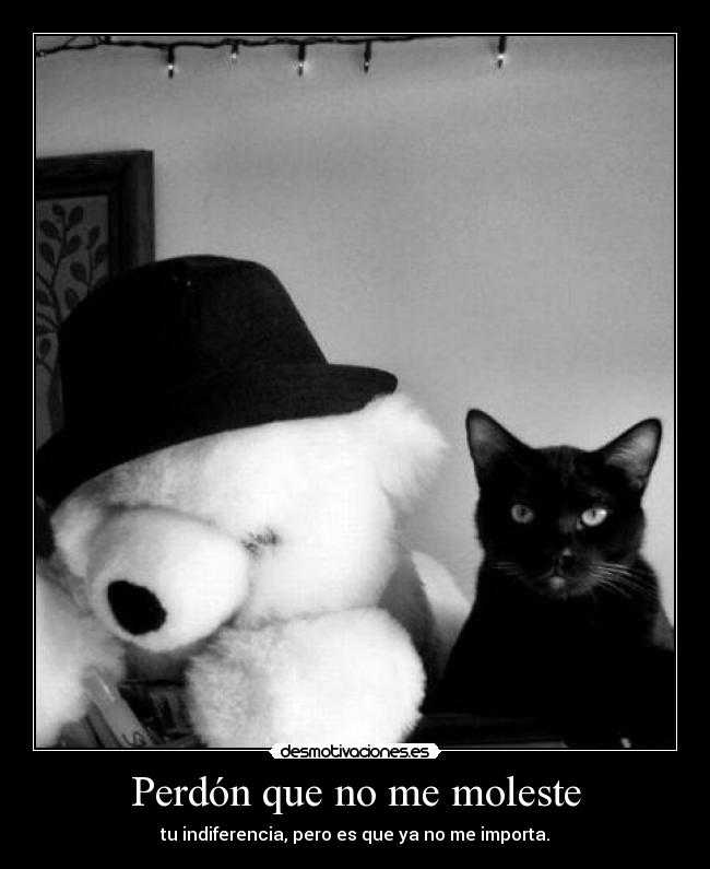 Perdón que no me moleste - tu indiferencia, pero es que ya no me importa.
