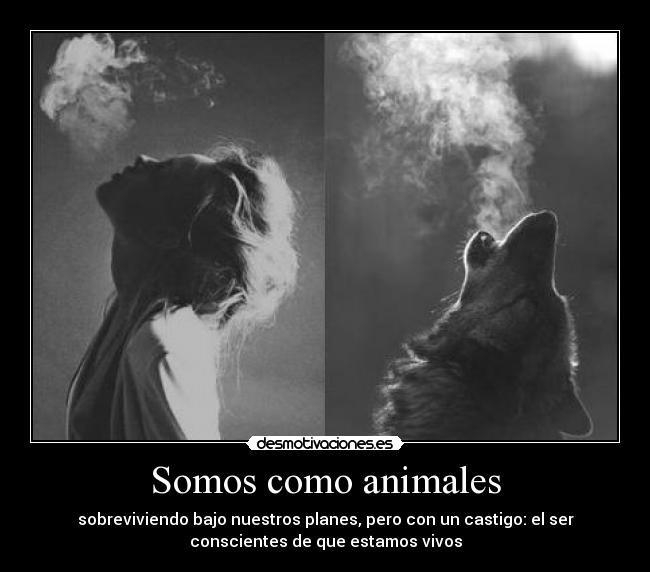 Somos como animales - sobreviviendo bajo nuestros planes, pero con un castigo: el ser
conscientes de que estamos vivos