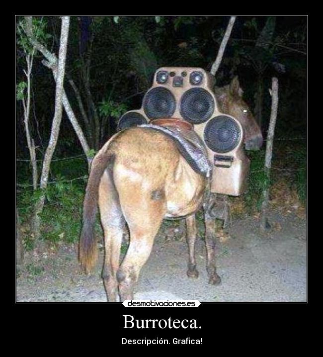 Burroteca. - Descripción. Grafica!